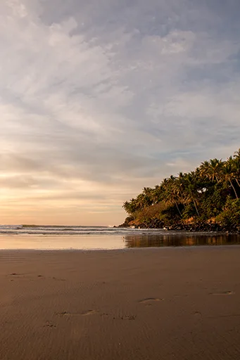 Playa Las Flores Sunset over a sandy beach with trees in the background.